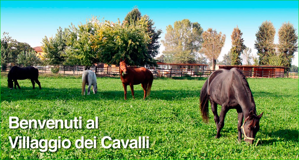 Il villaggio dei cavalli, la prima “stalla attiva” italiana