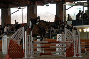 Primo concorso dell’anno al Centro Internazionale del Cavallo