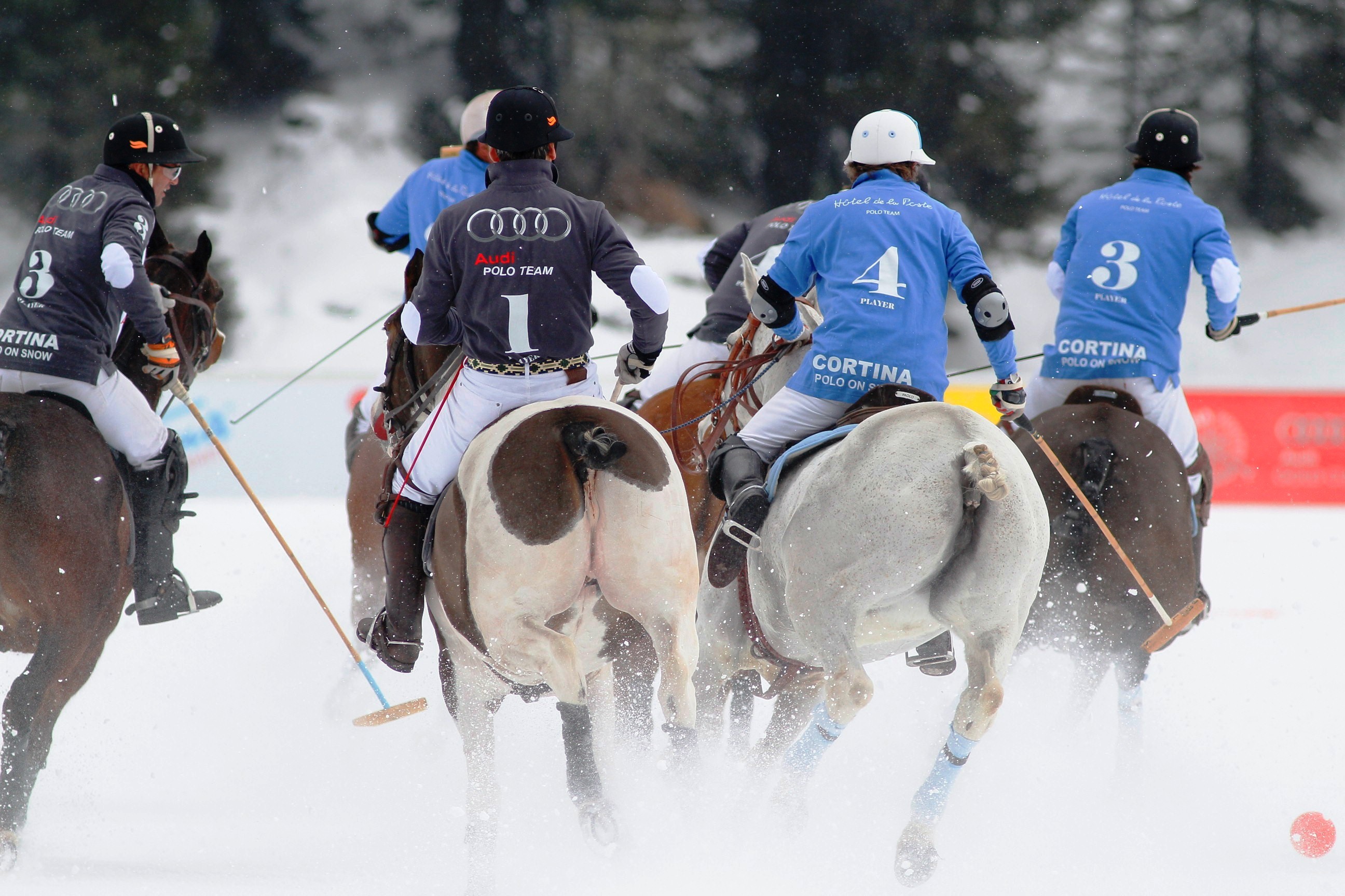 Debutto sotto la neve per la Cortina Winter Polo Audi Gold Cup