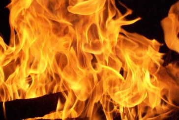 Morti 6 cavalli vicino a Bilbao per un incendio su un camion