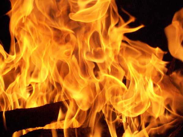 Morti 6 cavalli vicino a Bilbao per un incendio su un camion