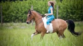 Sef Italia – Arriva il corso di Accompagnatore Turismo Equestre