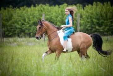 Sef Italia – Arriva il corso di Accompagnatore Turismo Equestre