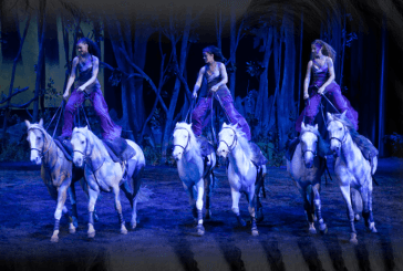 Spettacoli equestri: Odysseo il nuovo show di Cavalia
