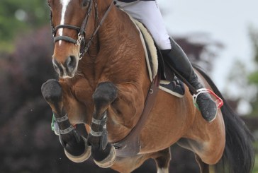 Moneta porta in alto il tricolore allo Csio di Falsterbo