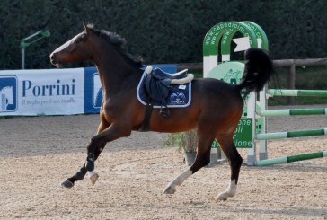 I comitati organizzatori in comune accordo annullano 4 concorsi