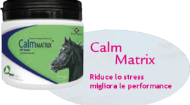 Concorso DotHorse.it – Vince Eleghant: a lei i Mushroom Matrix