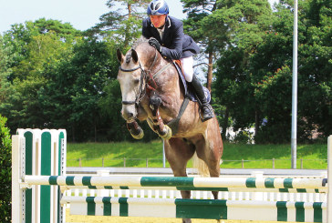 Asta Oldenburg ottobre, appuntamento con il tuo futuro campione