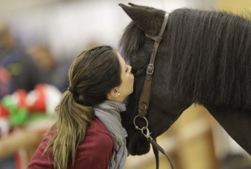 FieraCavalli, a città di Castello “Talenti e Cavalli”