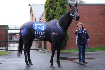 Black Caviar, 23esima vittoria e record