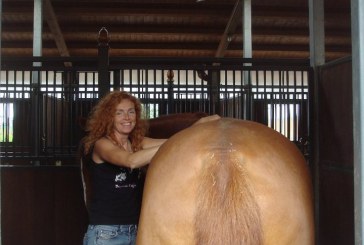 Il massaggio che fa la differenza