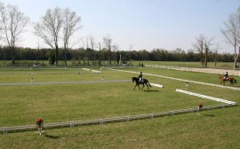 Cancellazione per maltempo del CIC di Ravenna