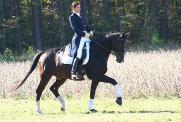 Battere la sella al trotto: diagonale interno o esterno?