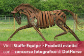 Premio fotografico: Cavallo che passione!