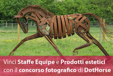 Premio fotografico: Cavallo che passione!