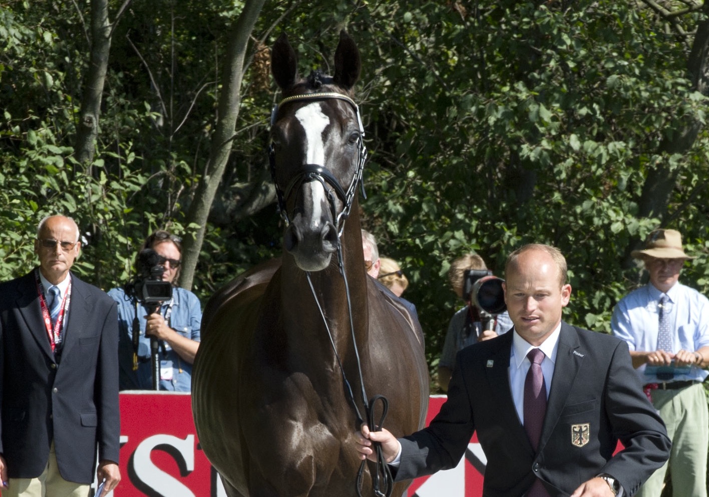 Un cavallo della Gran Bretagna non passa la visita alla vigilia degli Europei