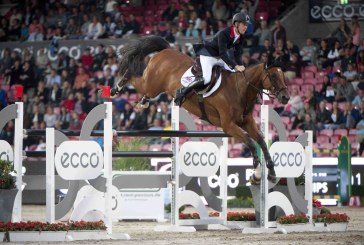 Scatti dal Campionato d’Europa 2013, le madaglie del salto ostacoli