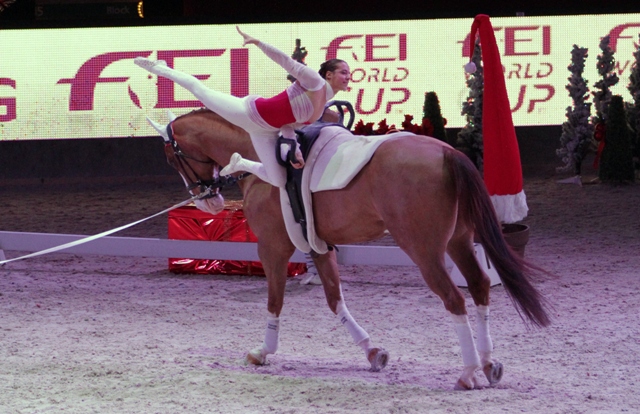 Fei World Cup Volteggio Salisburgo, Cavallaro vincente