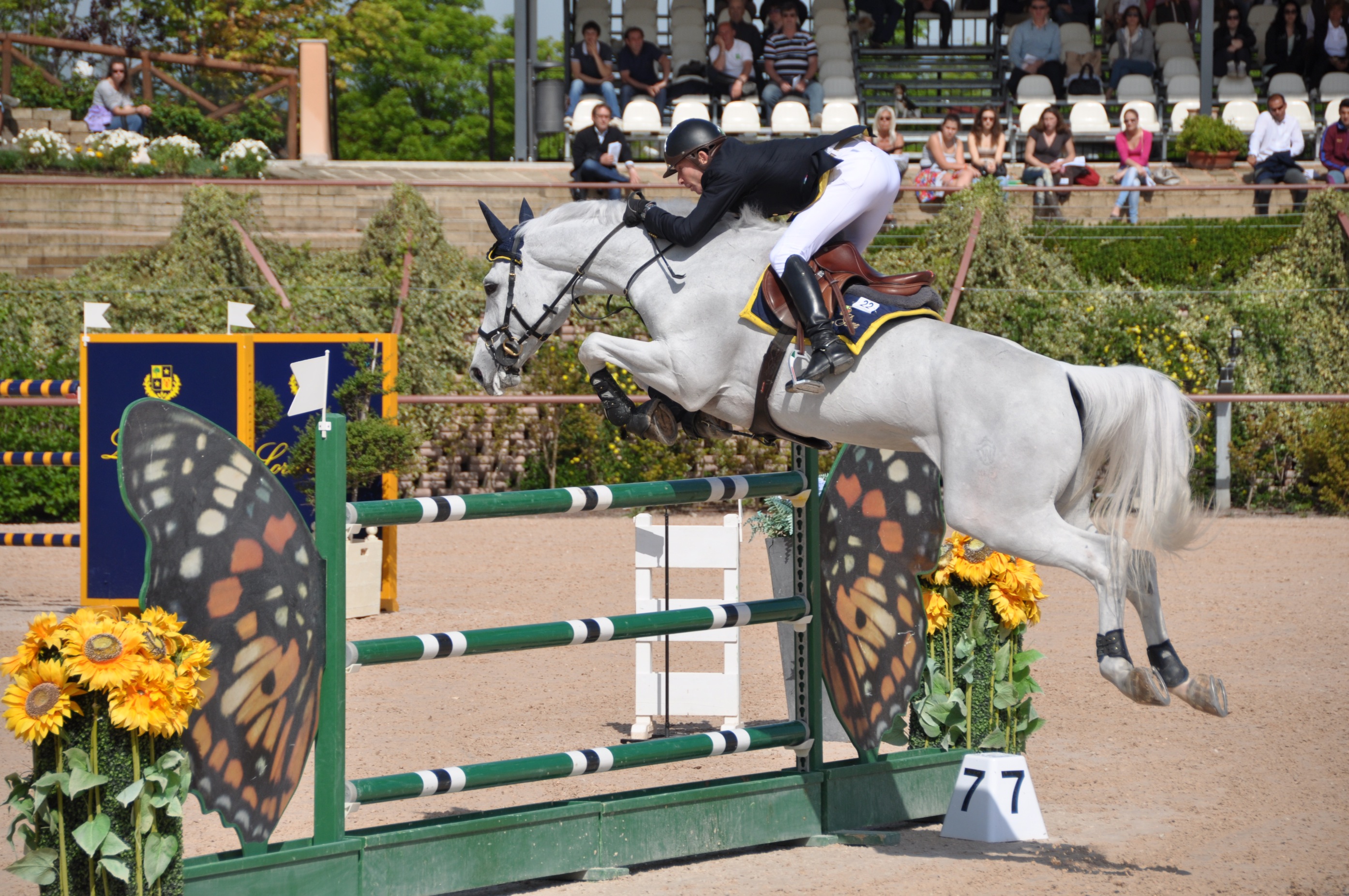 Vince Schwizer, ma Moyersoen è terzo nel Csi dell’Horses Riviera Resort
