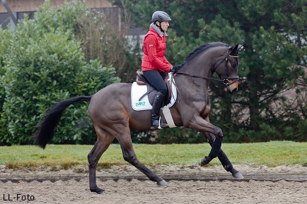 Nuovo crack per Ingrid Klimke