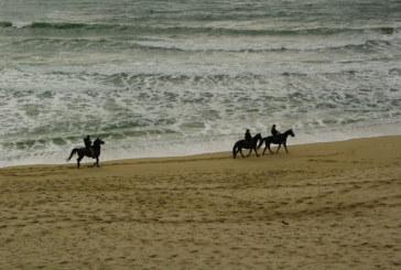 Week end a cavallo sulla spiaggia di Cervia