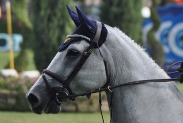Imboccatura a 4 anelli, anche detta Wilson