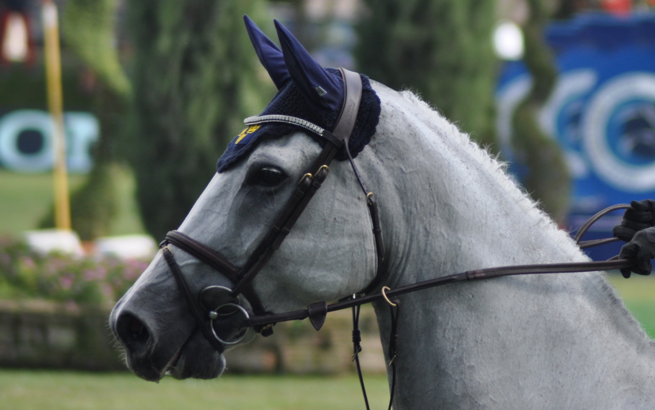 Imboccatura a 4 anelli, anche detta Wilson