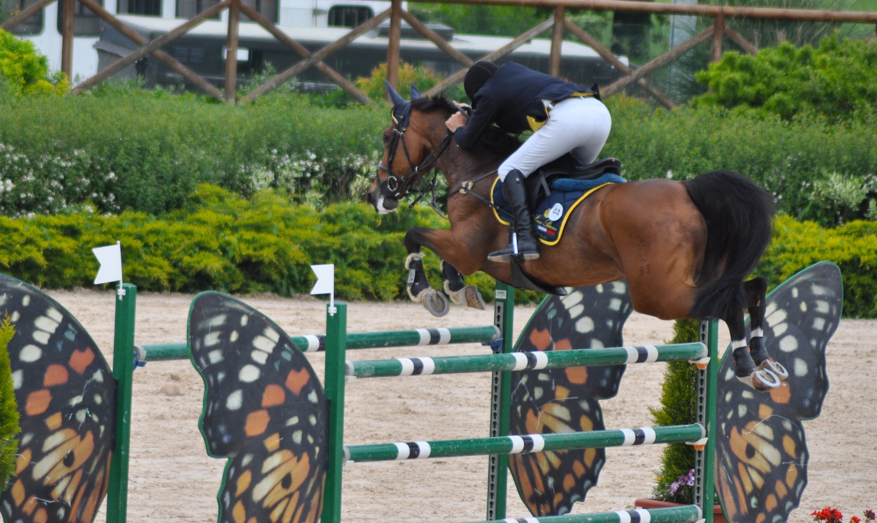 S.O. Campionato Italiano Assoluto all’Horses Riviera Resort