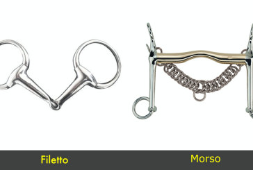 Le imboccature, filetti e morsi