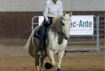 Salone del cavallo americano: gimkana, campionato italiano appaloosa, scuola italiana horsemanship
