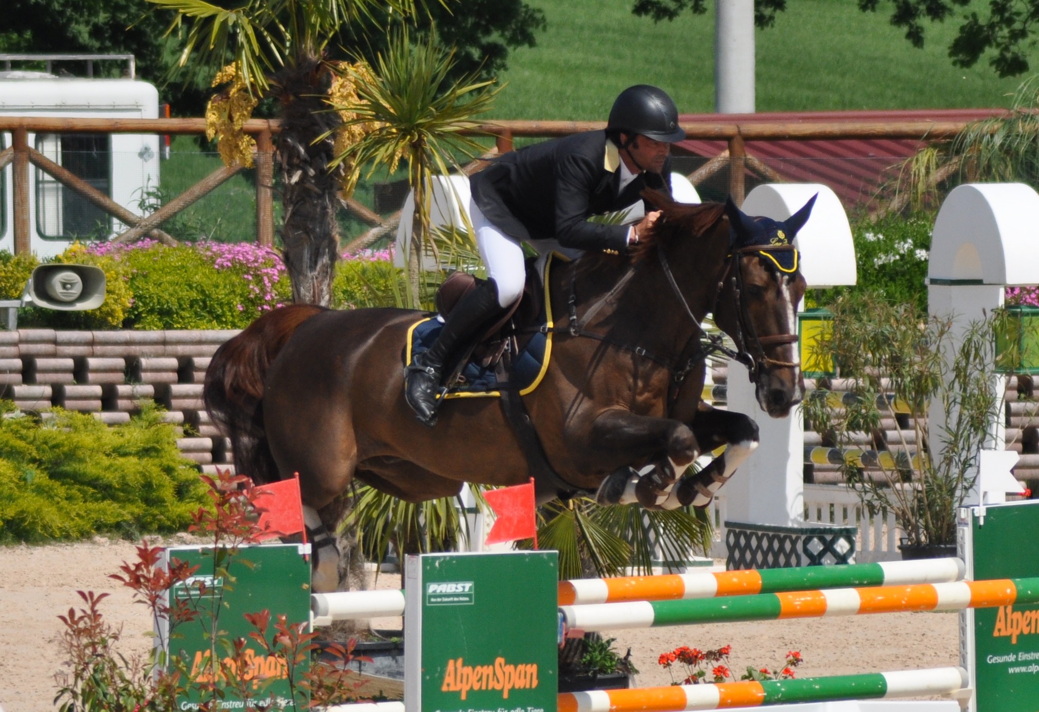 Sesto posto per Davide Kainich in Gran Premio allo Csio di Budapest