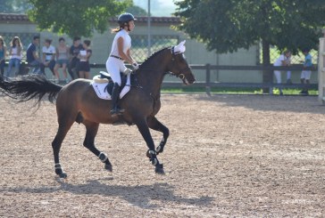 Stephex Masters, vittoria per Michol del Signore e Zingara