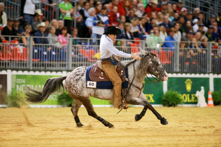 WEG, l’Italia del reining è sesta a Caen