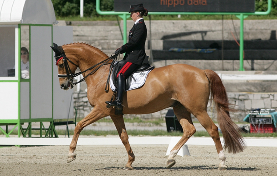 Reem Acra Fei World Cup Dressage Stoccarda, Luetkemeier vince