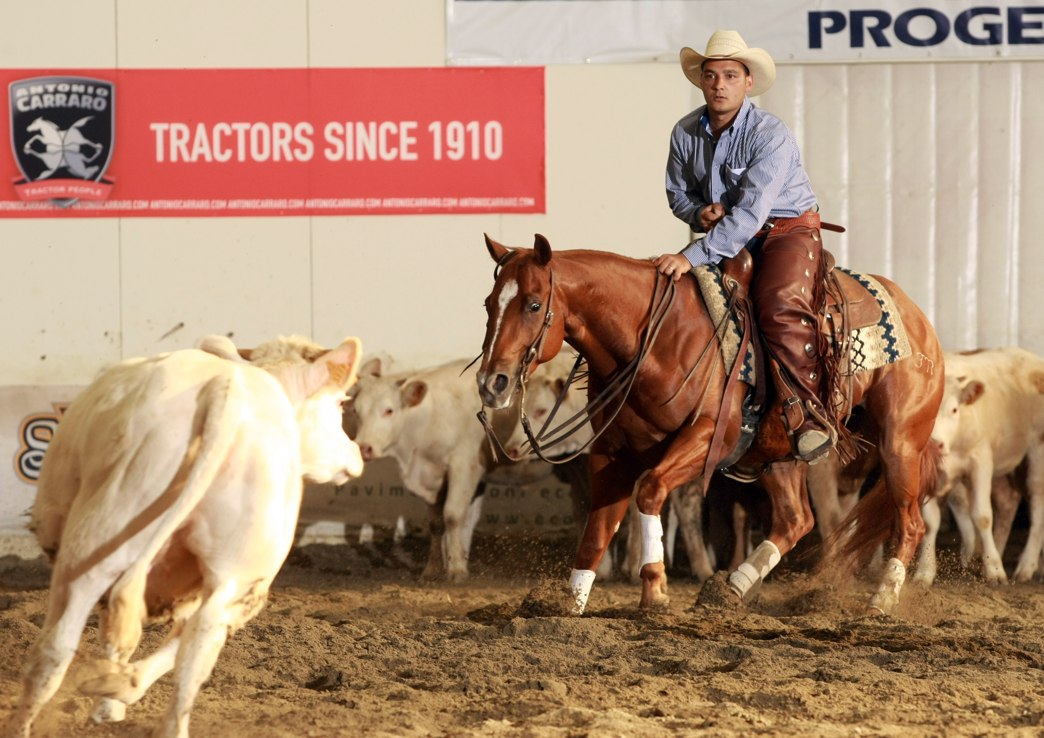 Dal 14 al 17 maggio appuntamento col Salone del Cavallo Americano