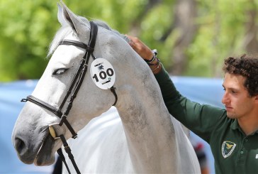 Imbattibili i giovani Emanuele Bianchi e Giampiero Garofalo allo Csio di Odense
