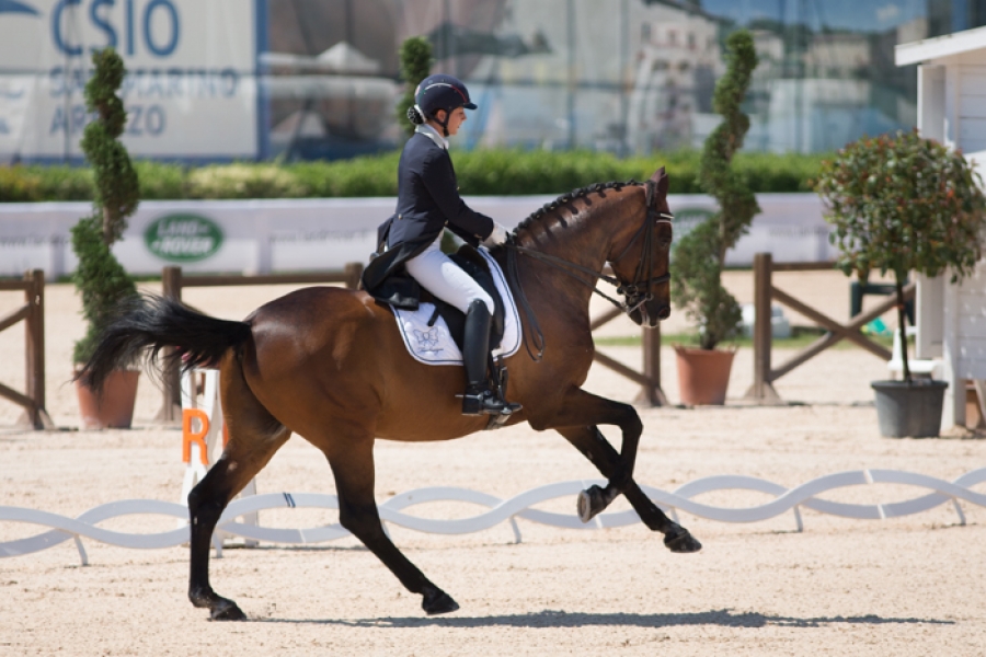 La visita veterinaria dà il via il Campionato Europeo di Dressage di Aquisgrana