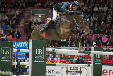 Cavallo mercato, Pius Schwizer sempre in mezzo agli scambi