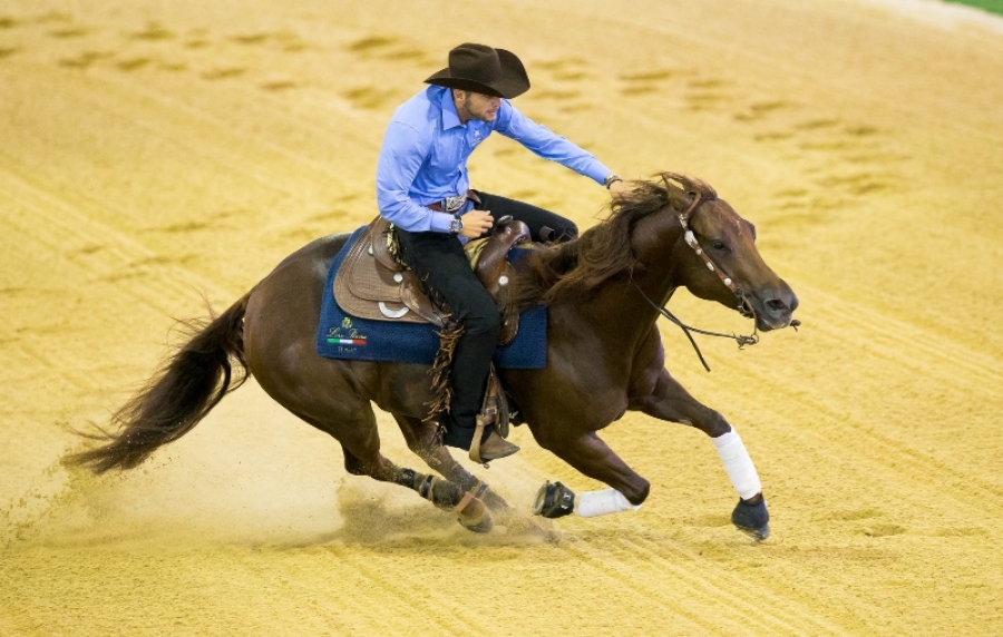 Il reining azzurro è due volte d’oro con Giovanni Masi de Vargas campione d’Europa