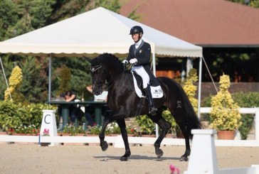 Finale Europea Master Cavallo Iberico, iberici azzurri in Belgio alla conquista dell’Europa