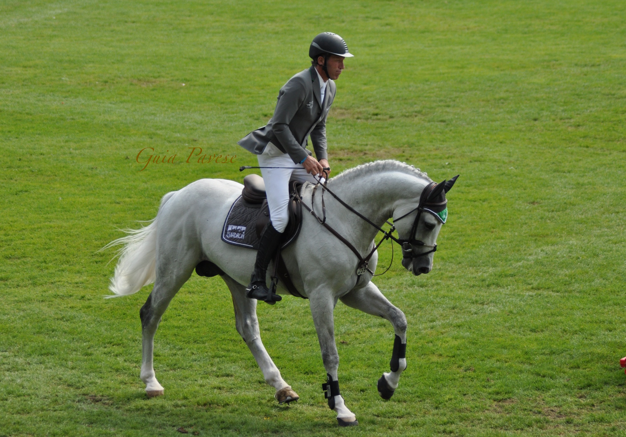 Ludger Beerbaum e la federazione equestre tedesca contrari all’aumento delle iscrizioni