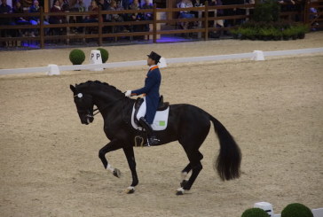 Dopo tanta polemica il binomio Tommie Visser e Vingino vincono il World Dressage Masters a Lier
