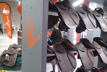Furto record alla Fiera Cavalli di Verona, 70 selle sul mercato nero