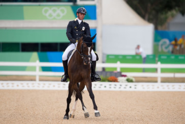 Rio 2016, grande Italia, Stefano Brecciaroli ed Apollo di nuovo capaci di far sognare