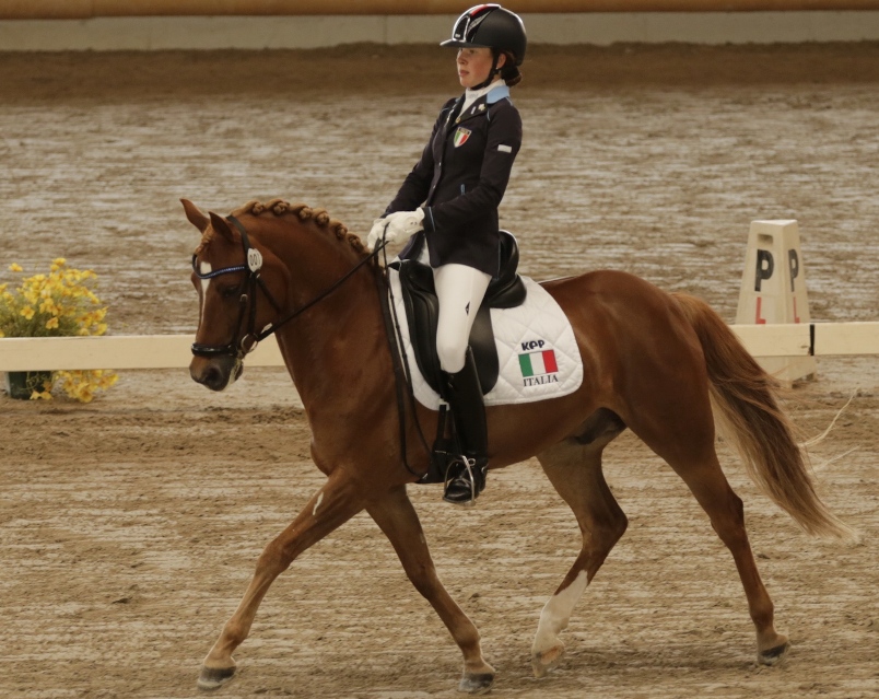 Campionati Europei Pony di Aarhus, inizia la sfida europea degli azzurrini pony