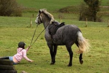 Un bimbo grintoso alle prese con un pony molto maleducato