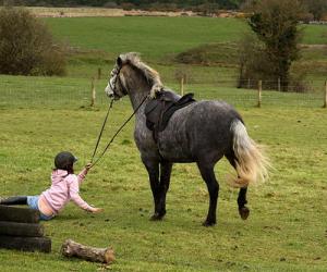 Un bimbo grintoso alle prese con un pony molto maleducato