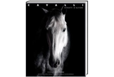 Cavalli: ritratti d’autore