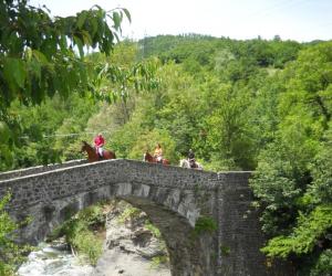 Turismo equestre Fise, viaggio nelle terre di Canossa