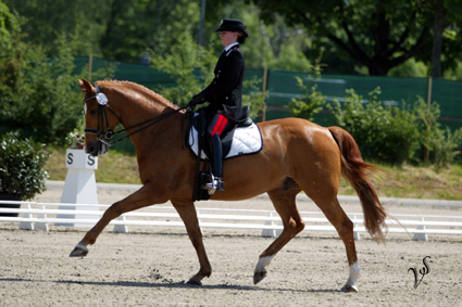 Valentina e Chablis in gara a Palm Beach